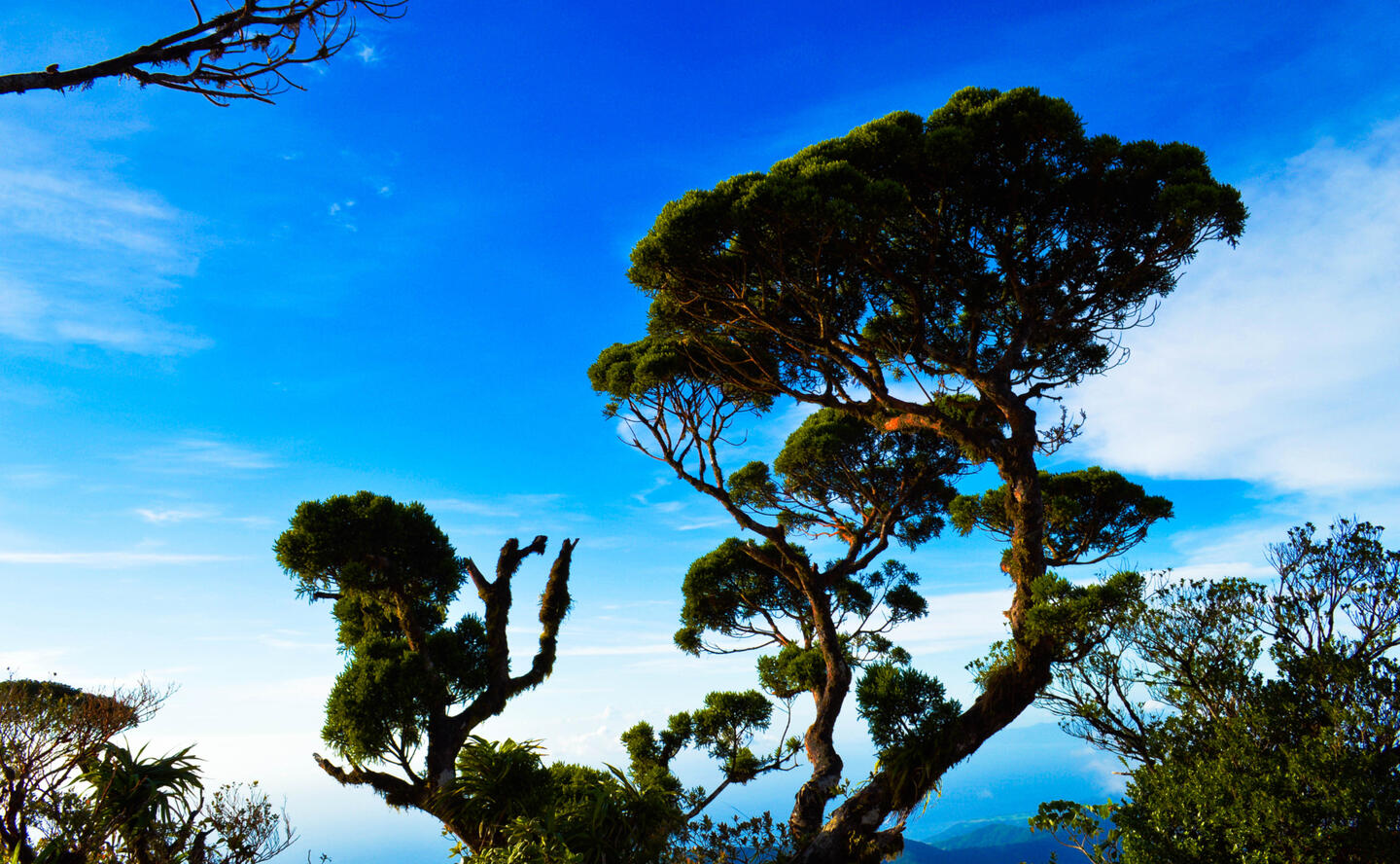 Trekking to Mount Madja-as