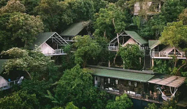 The Bird House El Nido